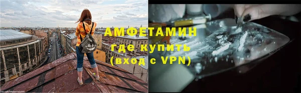 индика Анива