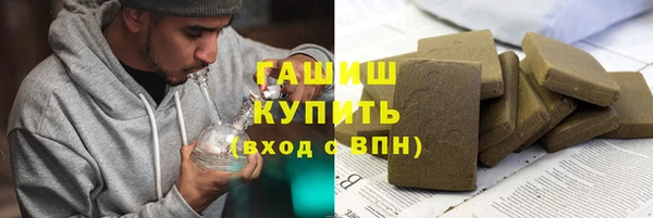 индика Анива