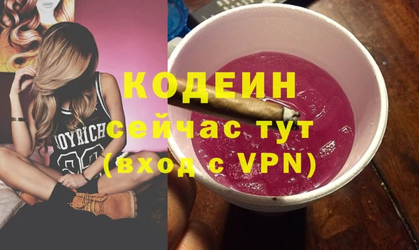 индика Анива