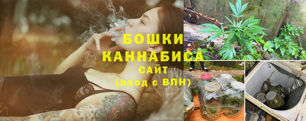 дживик Аша