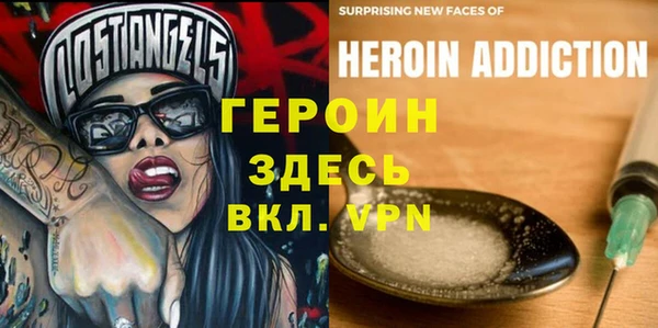 индика Анива