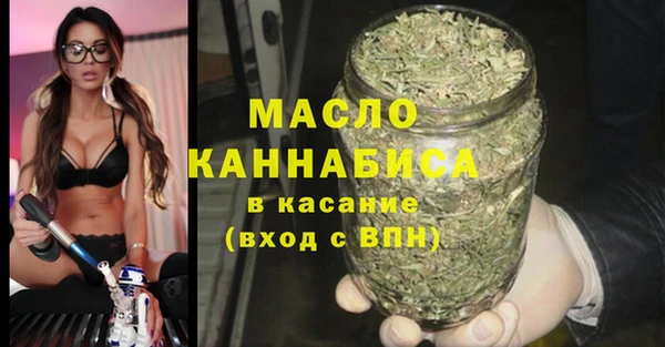 индика Анива