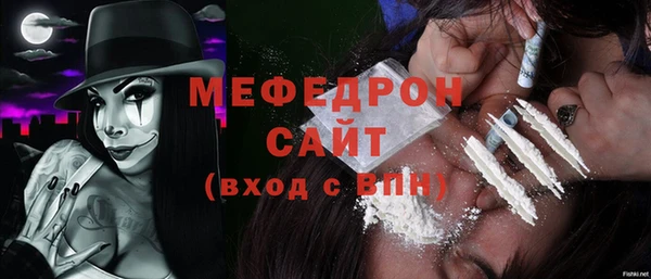 индика Анива