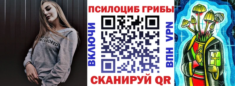 Псилоцибиновые грибы мухоморы закладки Звенигород