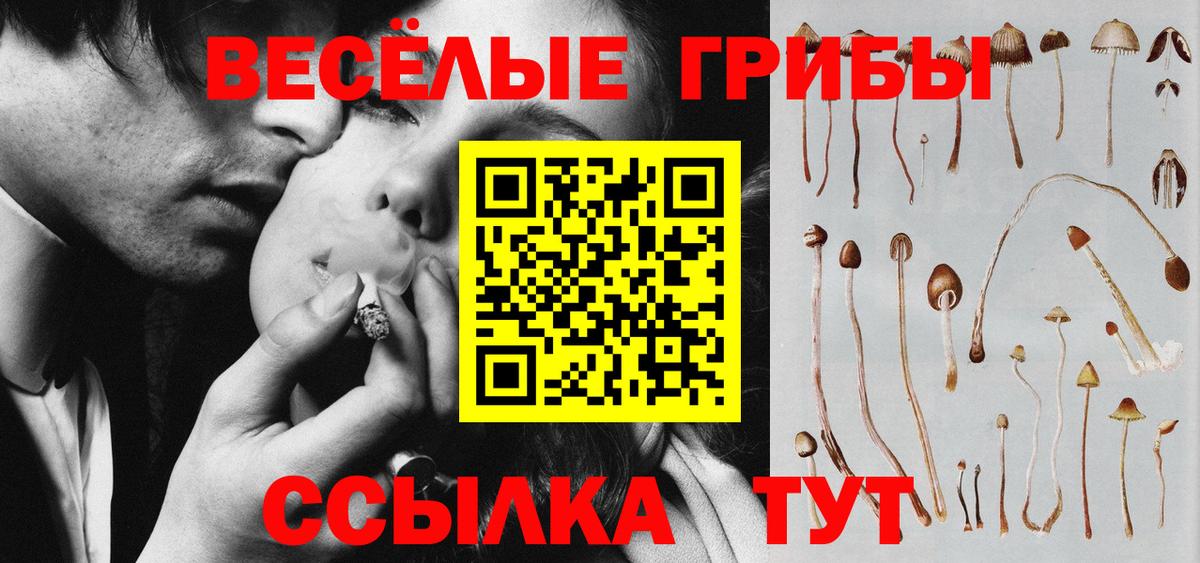 Псилоцибиновые грибы Psilocybine cubensis  Звенигород  Галлюциногенные грибы мухоморы 