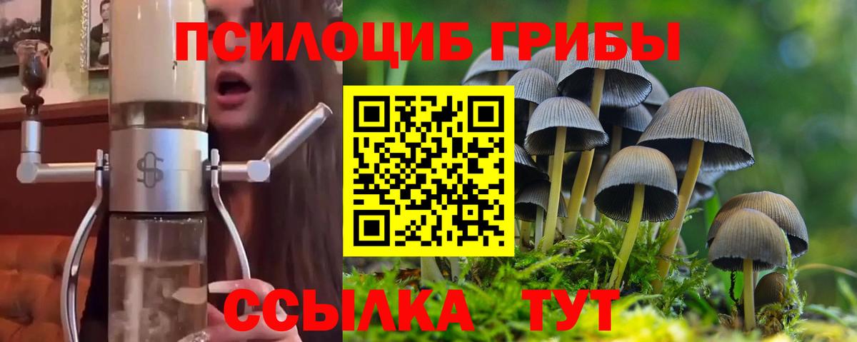 Звенигород  Псилоцибиновые грибы прущие грибы  Вход с VPN 