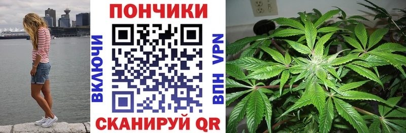 Бошки Шишки SATIVA & INDICA  Звенигород 